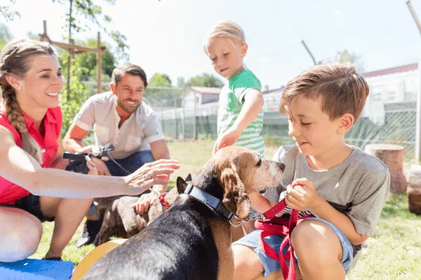 Quiero adoptar un cachorro: paso a paso para lograrlo