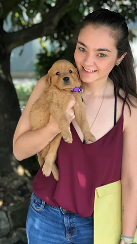 Golden Retriever en Colombia Testimonios