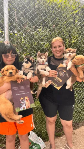 Dinastia-del-Cachorro-Testimonio_0001