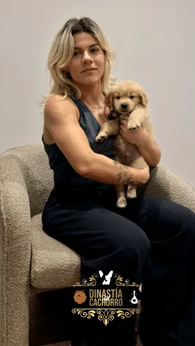 Golden Retriever en Colombia Testimonios