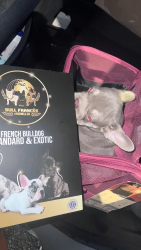 Dinastia-del-Cachorro-Testimonio_0005