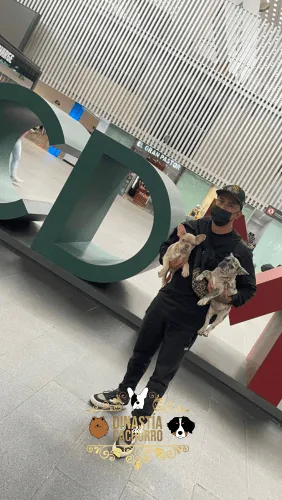 Dinastia-del-Cachorro-Testimonio_0006