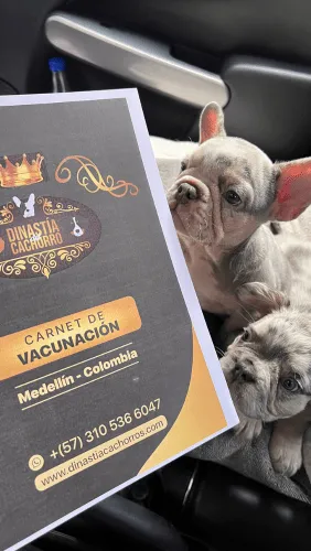 Dinastia-del-Cachorro-Testimonio_0008