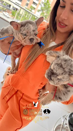 Dinastia-del-Cachorro-Testimonio_0009