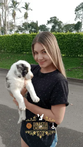 Dinastia-del-Cachorro-Testimonio_0018