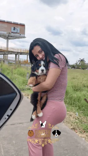 Dinastia-del-Cachorro-Testimonio_0019