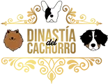 Logos-Dinastia-del-Cachorro-Transparente