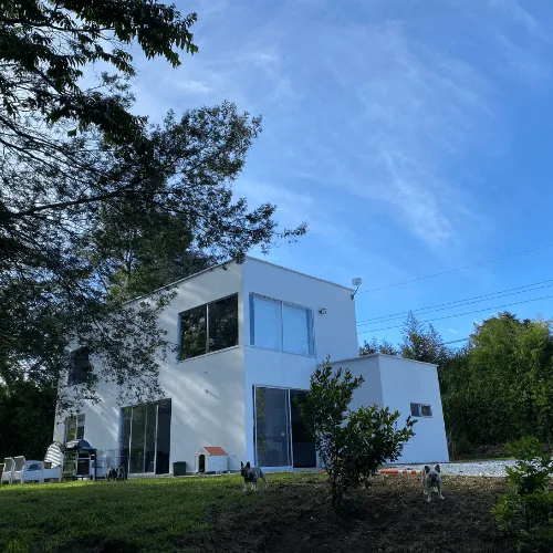 Criadero de perros en Medellín