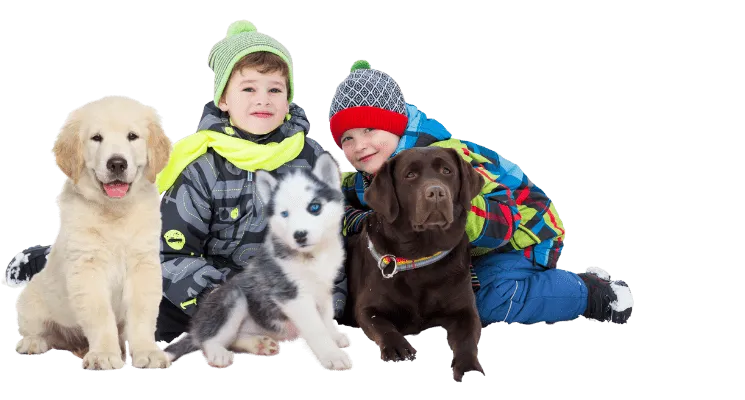 Criadero de perros en Medellín