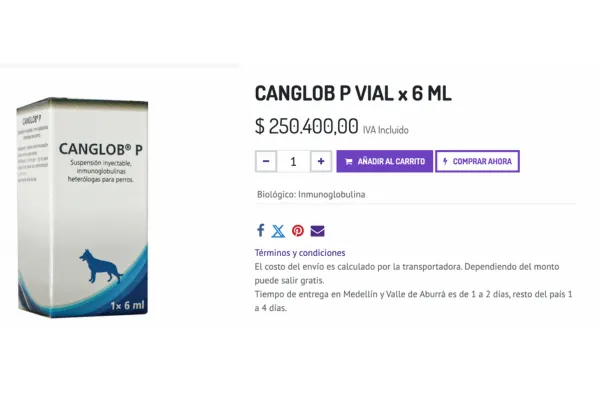 img-parvovirosis-en-perros-5-min