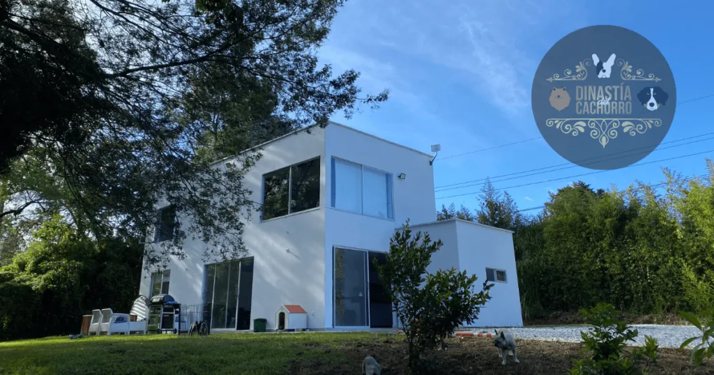 img-social-criadero-dinastia-cachorros-medellin