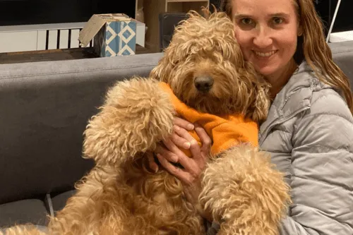 Goldendoodle generaciones F1, F1B, F2