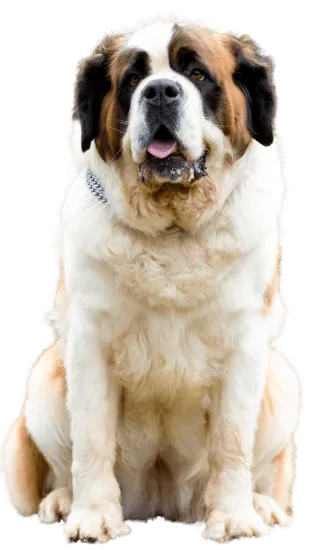 San Bernardo Colombia