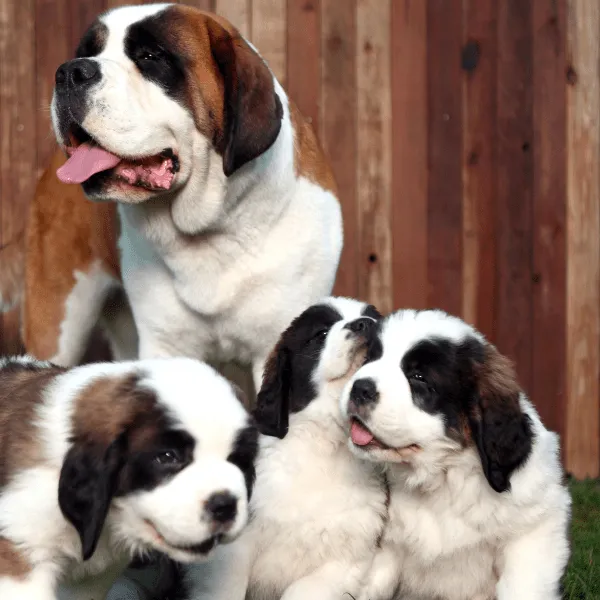 San Bernardo Colombia